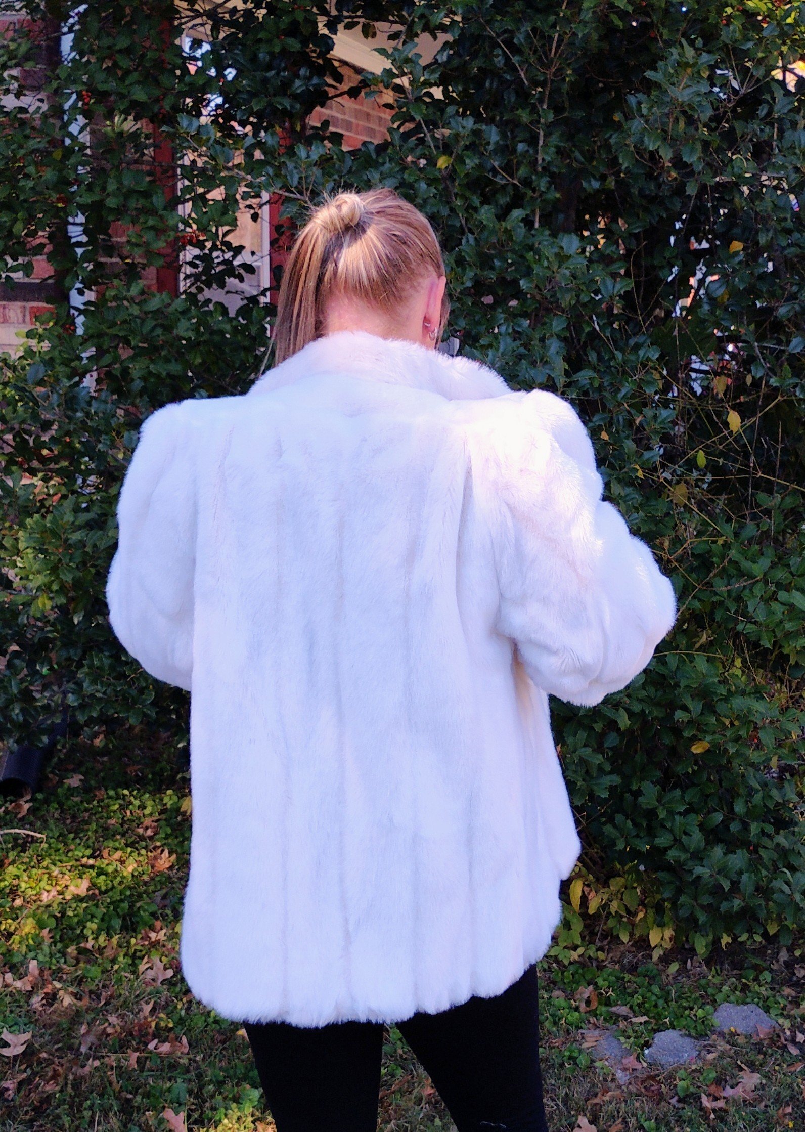 IMG_20241027_135046895_AE